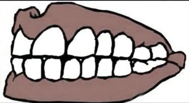面相看人生牙齿_男生牙齿稀疏牙缝大面相_牙齿大的人面相