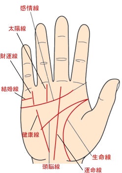 手相四条线的位置和各自代表着什么？(图)