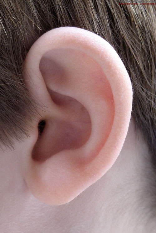 耳朵上有痣代表着什么，男女耳朵长痣预示什么