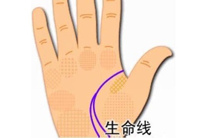 生命线是人的手掌纹中的三大主线之一