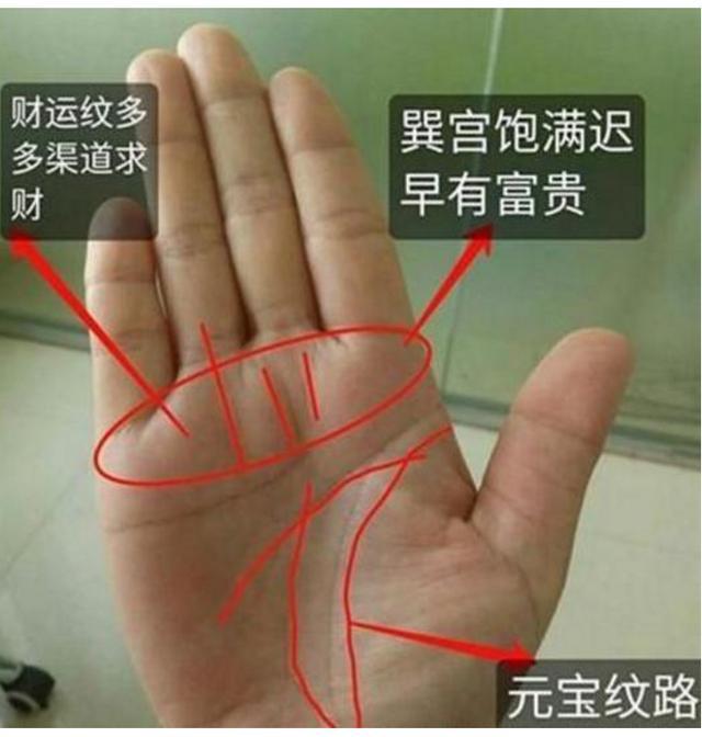 图解:史上最罕见的手相图解大全