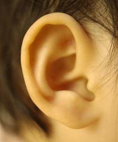 清木风水命理：你的耳朵有这些特征吗？