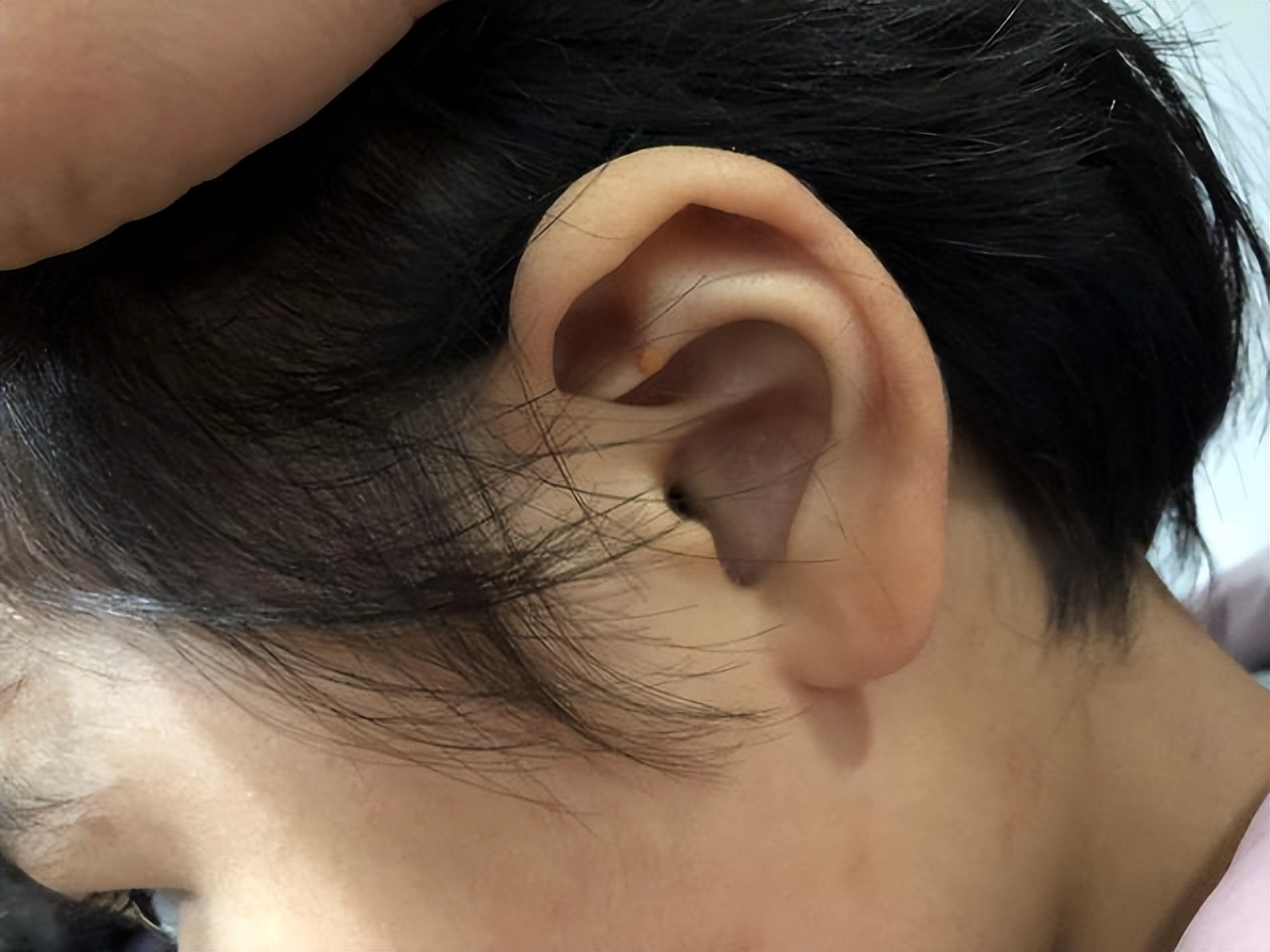 清木风水命理：你的耳朵有这些特征吗？